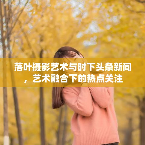 落叶摄影艺术与时下头条新闻，艺术融合下的热点关注