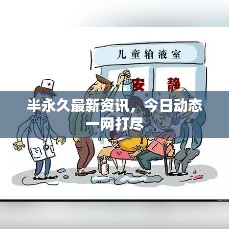 半永久最新资讯，今日动态一网打尽