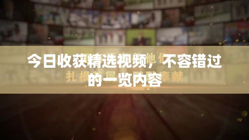 今日收获精选视频，不容错过的一览内容