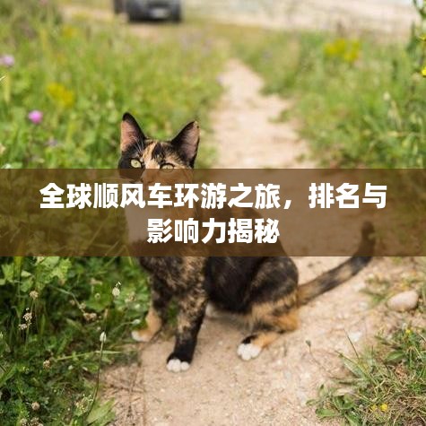 全球顺风车环游之旅，排名与影响力揭秘