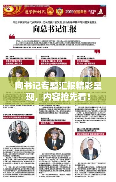向书记专题汇报精彩呈现，内容抢先看！