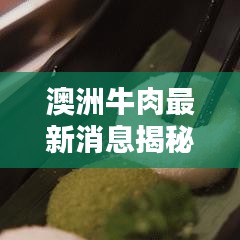 质而不俚