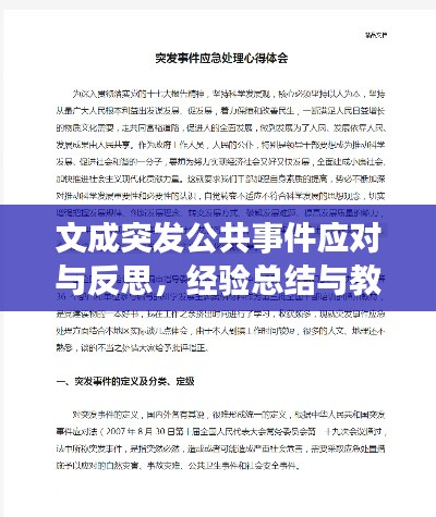 文成突发公共事件应对与反思，经验总结与教训探讨