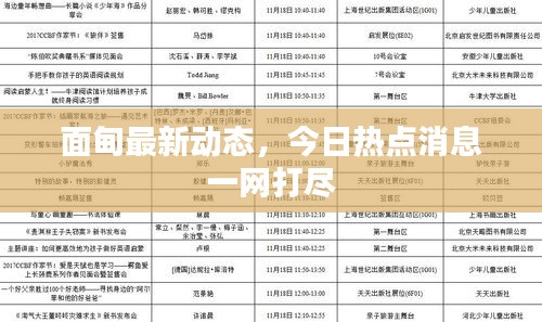 面甸最新动态，今日热点消息一网打尽
