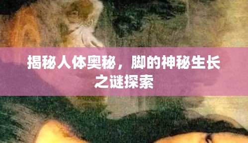 揭秘人体奥秘，脚的神秘生长之谜探索