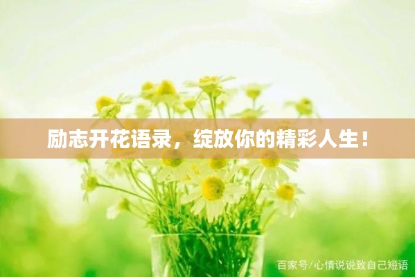 励志开花语录，绽放你的精彩人生！