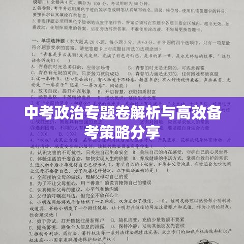 中考政治专题卷解析与高效备考策略分享