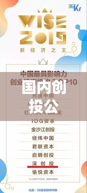 国内创投公司排名大揭秘，深度解析影响力巨头！