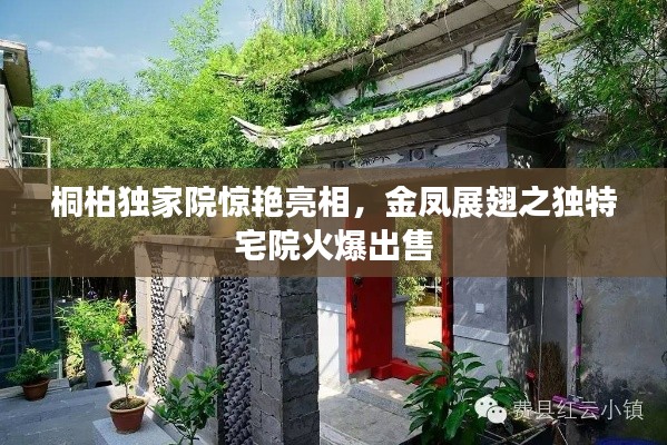 桐柏独家院惊艳亮相，金凤展翅之独特宅院火爆出售