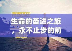 生命的奋进之旅，永不止步的前行之路