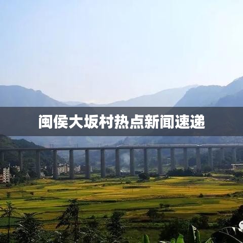 闽侯大坂村热点新闻速递