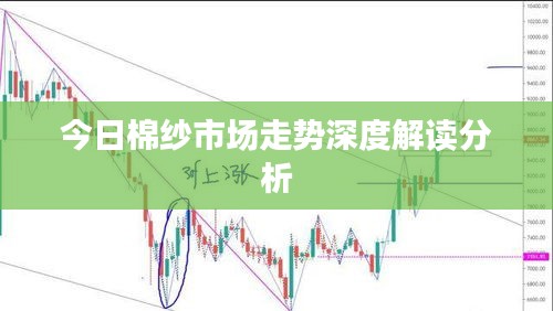 今日棉纱市场走势深度解读分析
