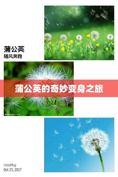 韦编三绝