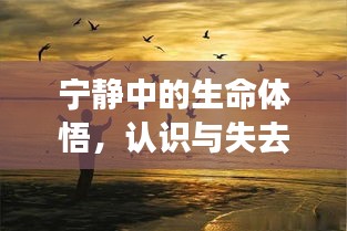宁静中的生命体悟，认识与失去的交织之旅