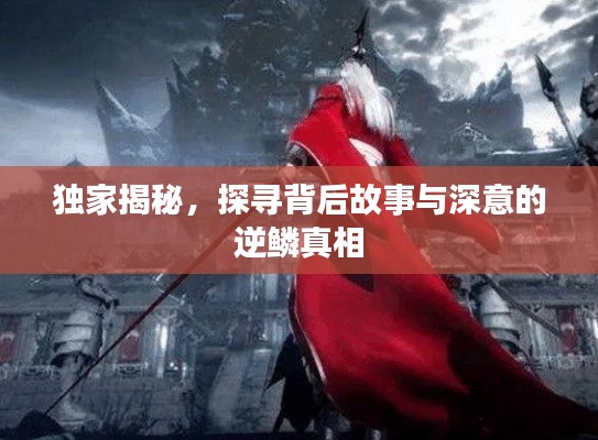 独家揭秘，探寻背后故事与深意的逆鳞真相