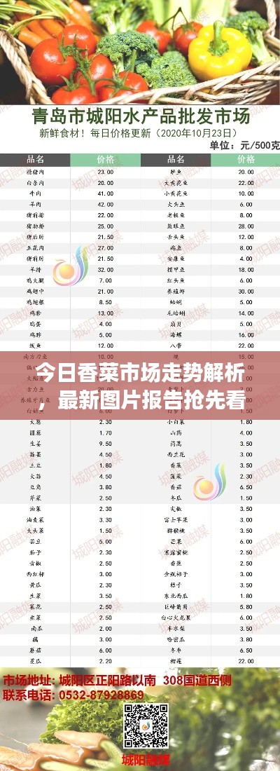 今日香菜市场走势解析，最新图片报告抢先看