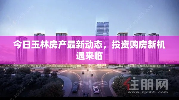 今日玉林房产最新动态，投资购房新机遇来临