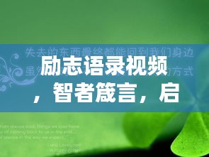 凤凰于飞