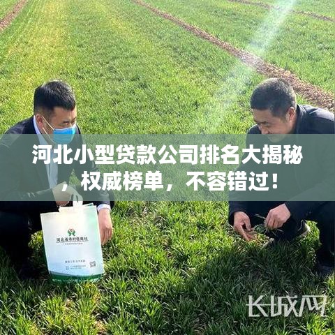 河北小型贷款公司排名大揭秘，权威榜单，不容错过！