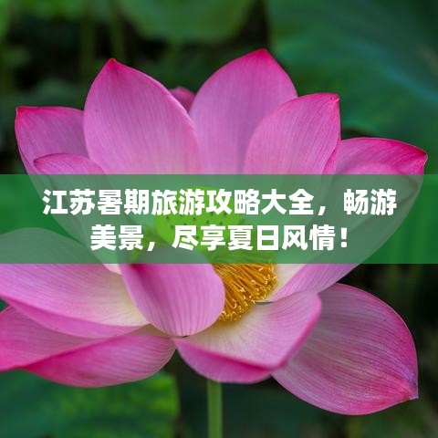 江苏暑期旅游攻略大全，畅游美景，尽享夏日风情！