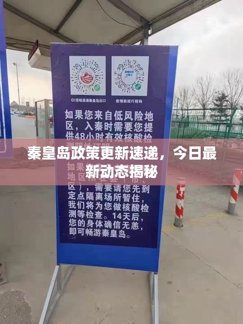公司简介 第14页