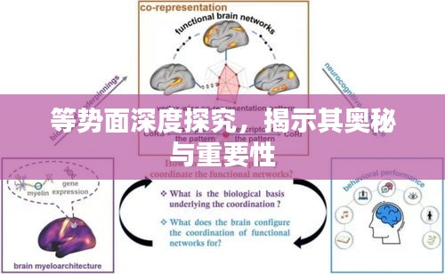 观往知来