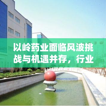 以岭药业面临风波挑战与机遇并存，行业观察分析
