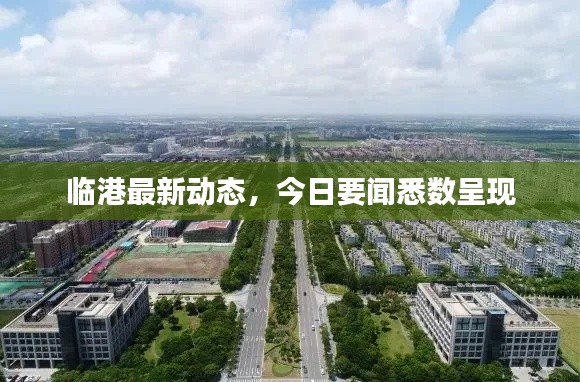 临港最新动态，今日要闻悉数呈现