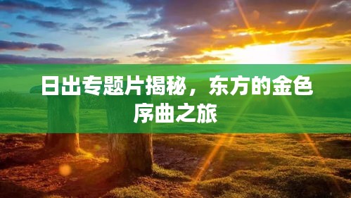 日出专题片揭秘，东方的金色序曲之旅