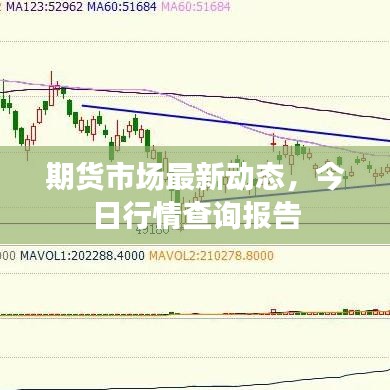 期货市场最新动态，今日行情查询报告