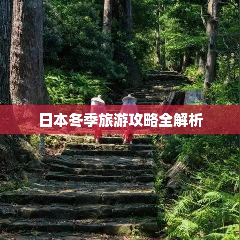 日本冬季旅游攻略全解析