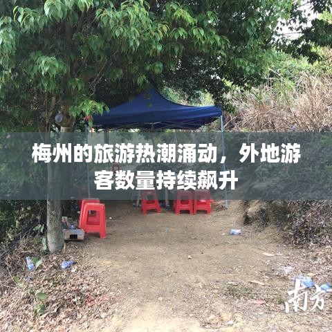 梅州的旅游热潮涌动，外地游客数量持续飙升