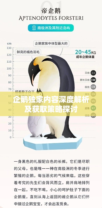 企鹅独家内容深度解析及获取策略探讨