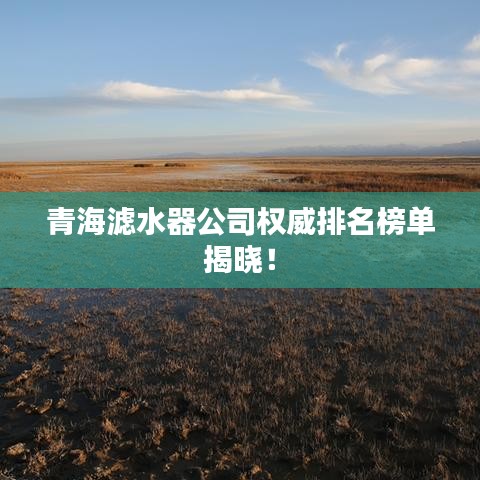 青海滤水器公司权威排名榜单揭晓！