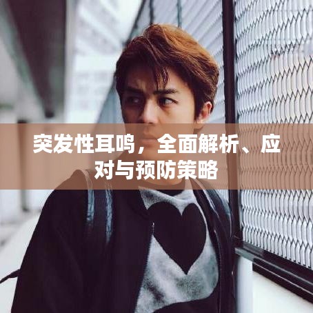 突发性耳鸣，全面解析、应对与预防策略