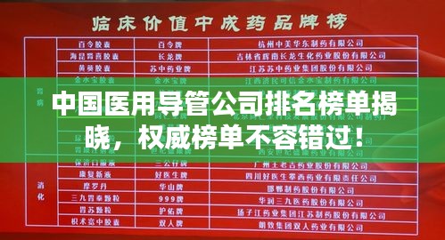 中国医用导管公司排名榜单揭晓，权威榜单不容错过！