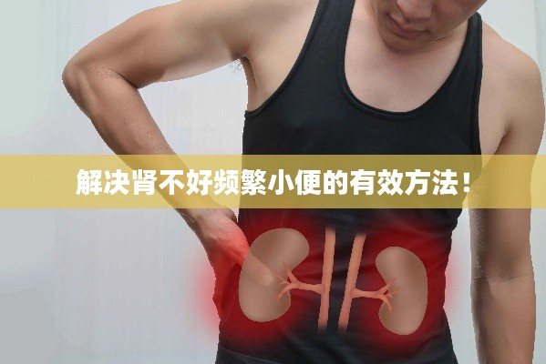 解决肾不好频繁小便的有效方法！