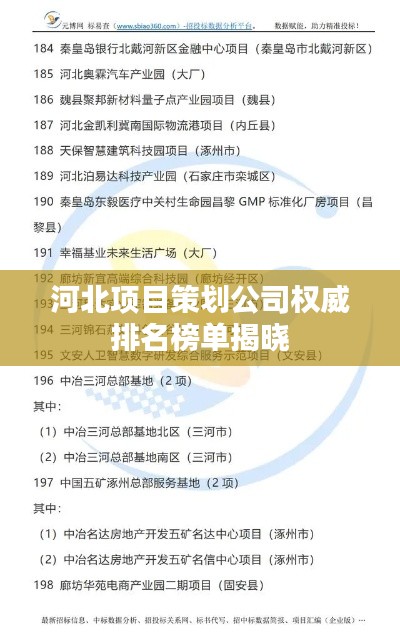 河北项目策划公司权威排名榜单揭晓