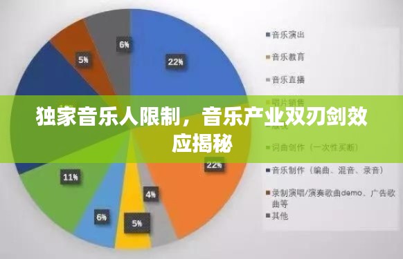 独家音乐人限制，音乐产业双刃剑效应揭秘