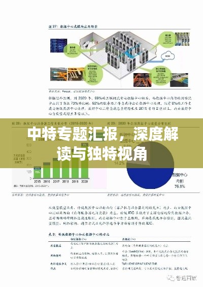 中特专题汇报，深度解读与独特视角