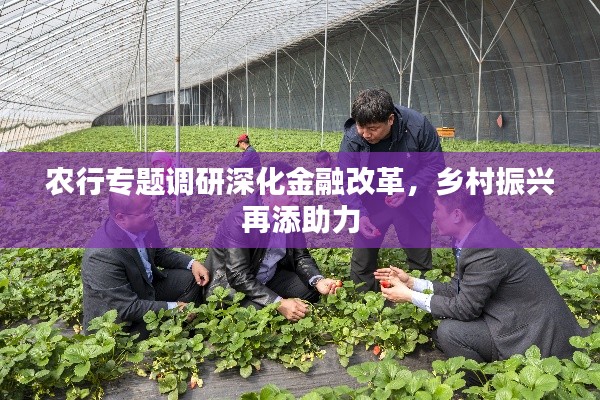 农行专题调研深化金融改革，乡村振兴再添助力