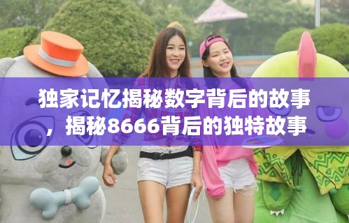 独家记忆揭秘数字背后的故事，揭秘8666背后的独特故事