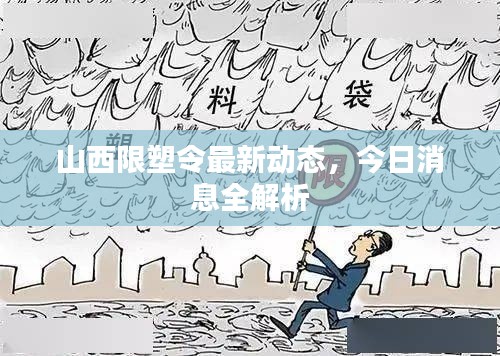 山西限塑令最新动态，今日消息全解析
