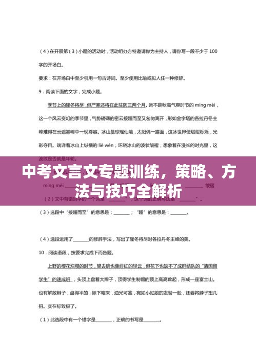 中考文言文专题训练，策略、方法与技巧全解析