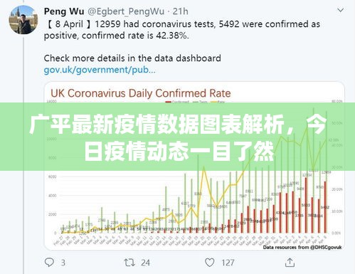 广平最新疫情数据图表解析，今日疫情动态一目了然