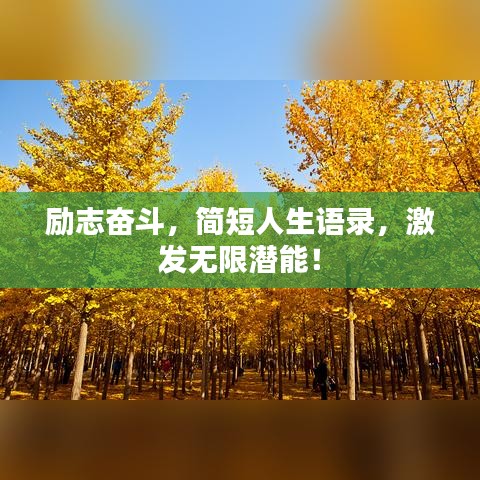 励志奋斗，简短人生语录，激发无限潜能！
