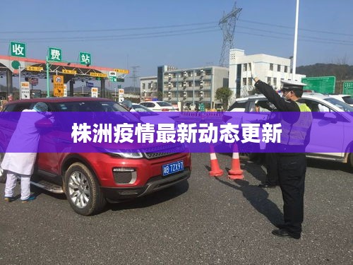 株洲疫情最新动态更新