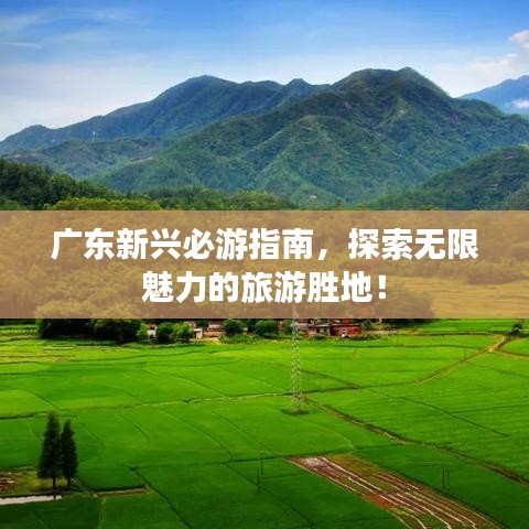 落落大方