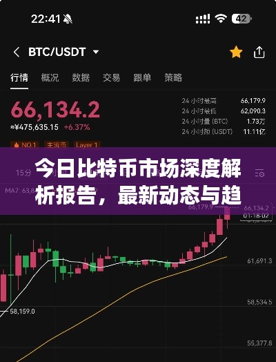 今日比特币市场深度解析报告，最新动态与趋势预测
