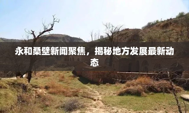 永和桑壁新闻聚焦，揭秘地方发展最新动态